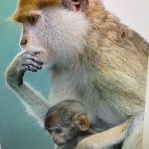 Meet your Posher, Marianna